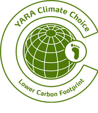 lower carbon